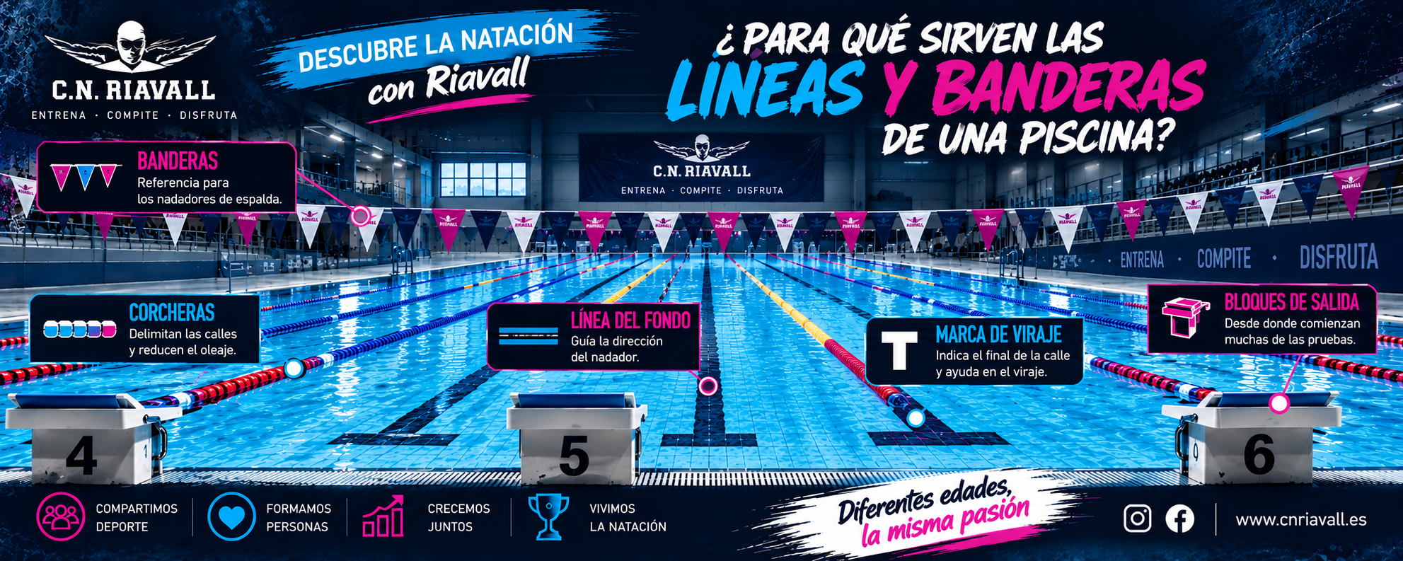 Descubre la natación con Riavall #1: ¿para qué sirven las líneas y banderas de una piscina?