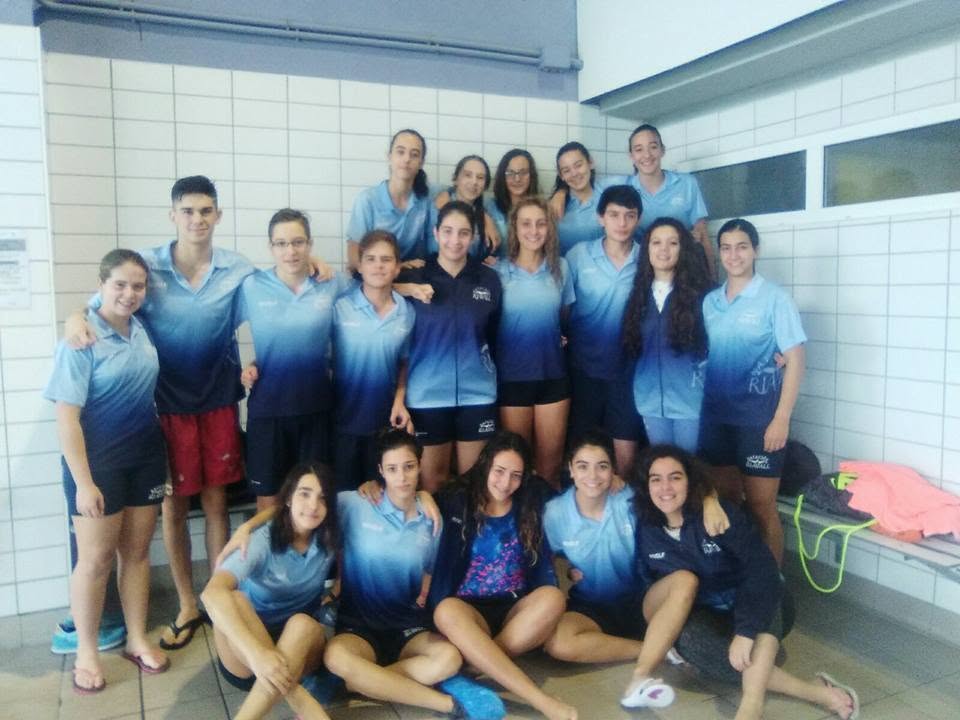 Año 2016